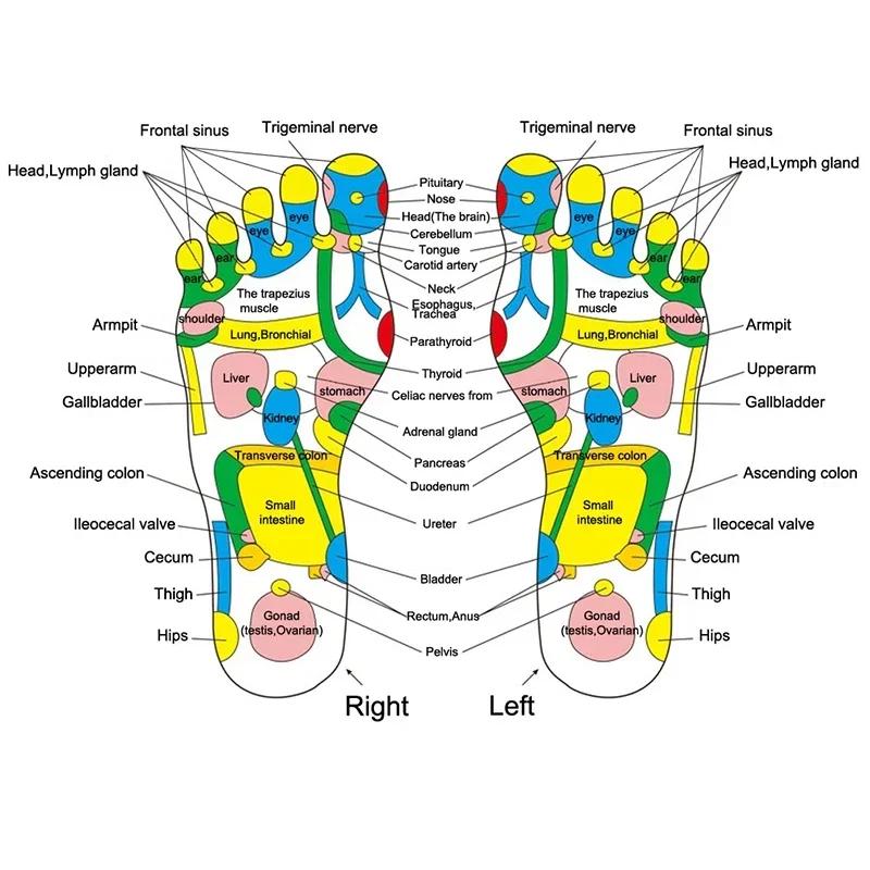 Gua Sha-Werkzeuge für Triggerpunktmassage aus Holz, professionelles Lymphdrainage-Werkzeug, Massagewerkzeuge für die Holztherapie für Rücken, Nacken, Beine, Hände