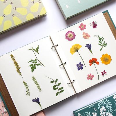 Flori Uscate Album Foto Suport Decorativ pentru Plante Albume Foto Hârtie pentru Scrapbooking pentru Cadouri de Nuntă Aniversare Cărți de Amintiri DIY