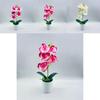 Artificial Phalaenopsis Aphrodite Plant With Silk Flowers For Home Decor And Gift Idea
