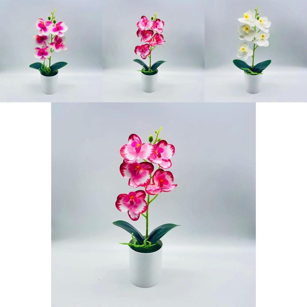 Artificial Phalaenopsis Aphrodite Plant With Silk Flowers For Home Decor And Gift Idea
