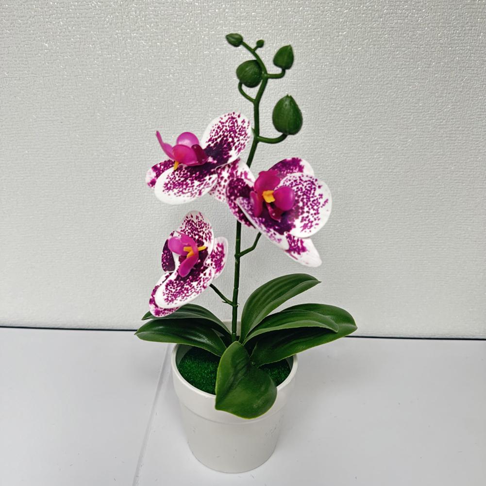 Compact Design Fake Flower Plant Phalaenopsis Bonsai Easy To Style