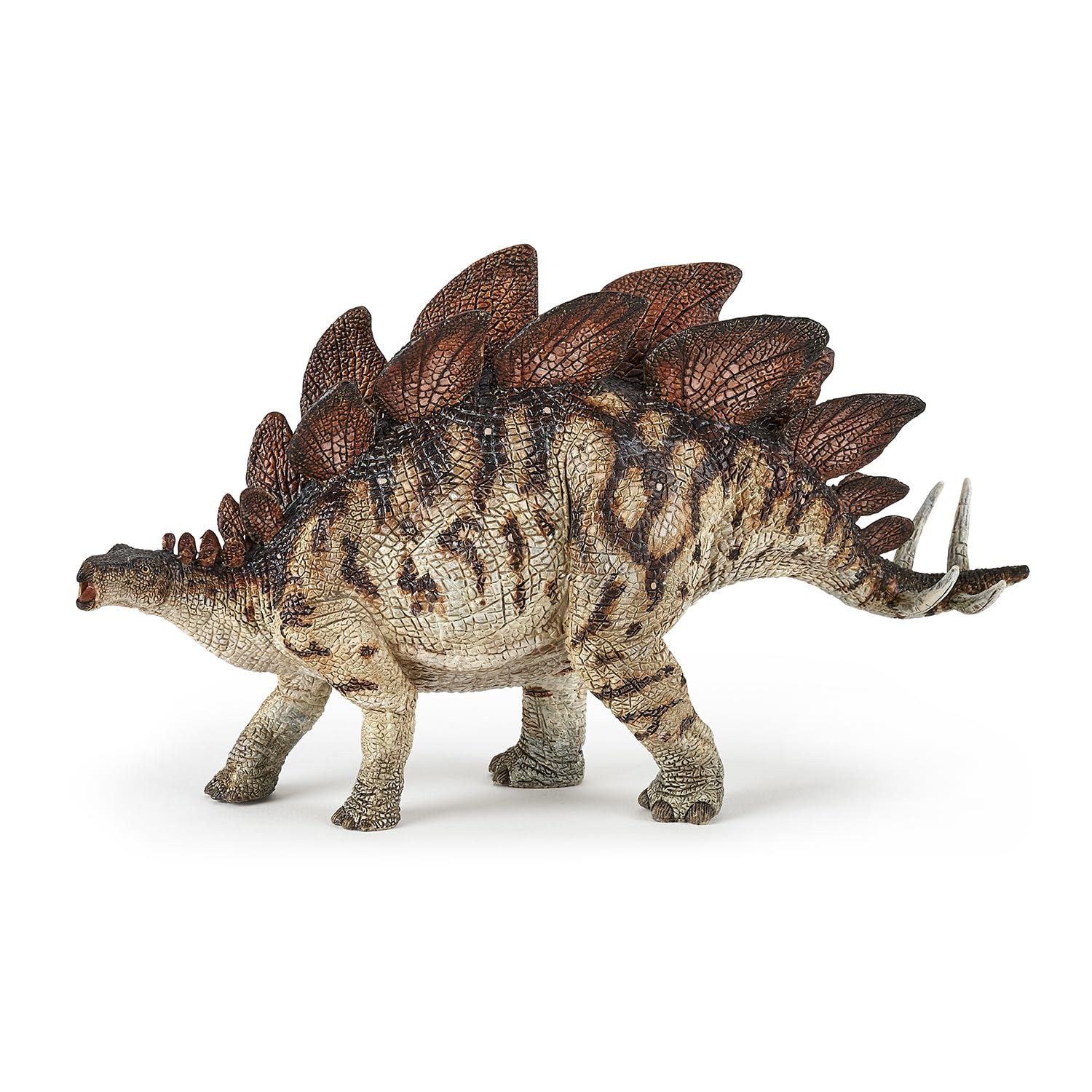 

PAPO Stegosaurus B