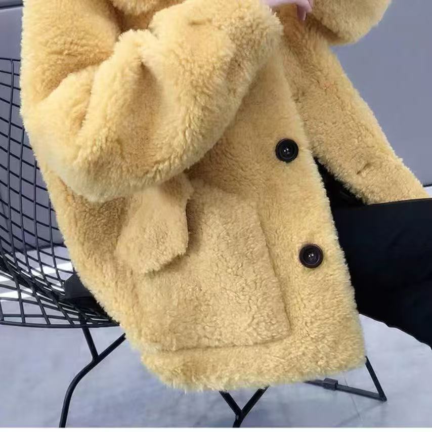 Lamb Wool Coat Women's Spring Short Korean Version Top Long Sleeve Imitation Lamb Wool Lapel Small Coat