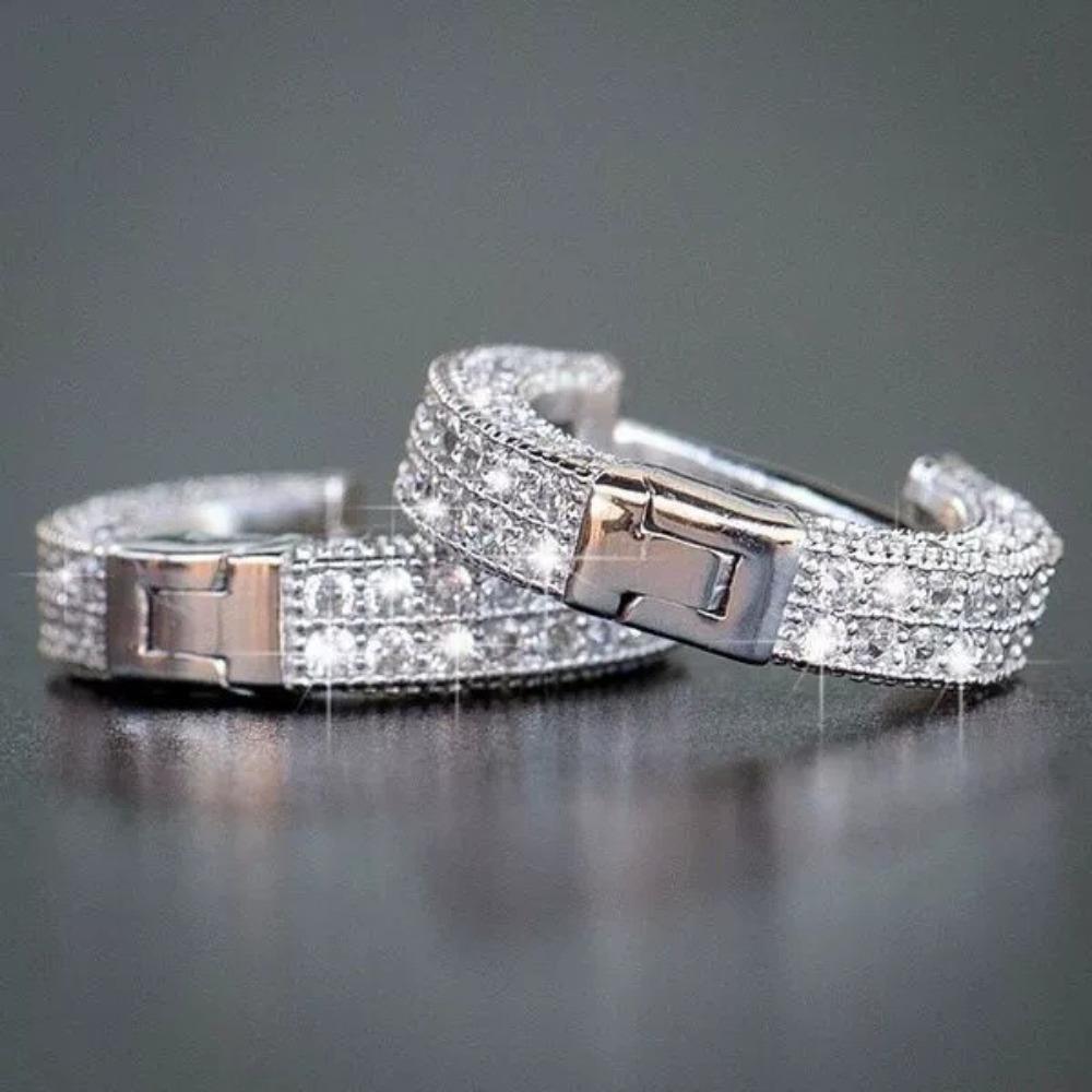 Hip Hop Fashion Double-row Full-Zircon Hoop Earrings for Men Women Classic Personality Daily Wear Gifts Stainless Steel Jewelry