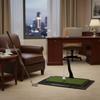 Putting Swing Training Mat Long-Lasting Sports Gear Portable Design for Indoor