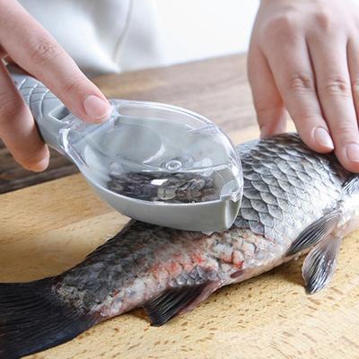 Werkzeuge zur Zubereitung von Meeresfrüchten – Fischentschupper