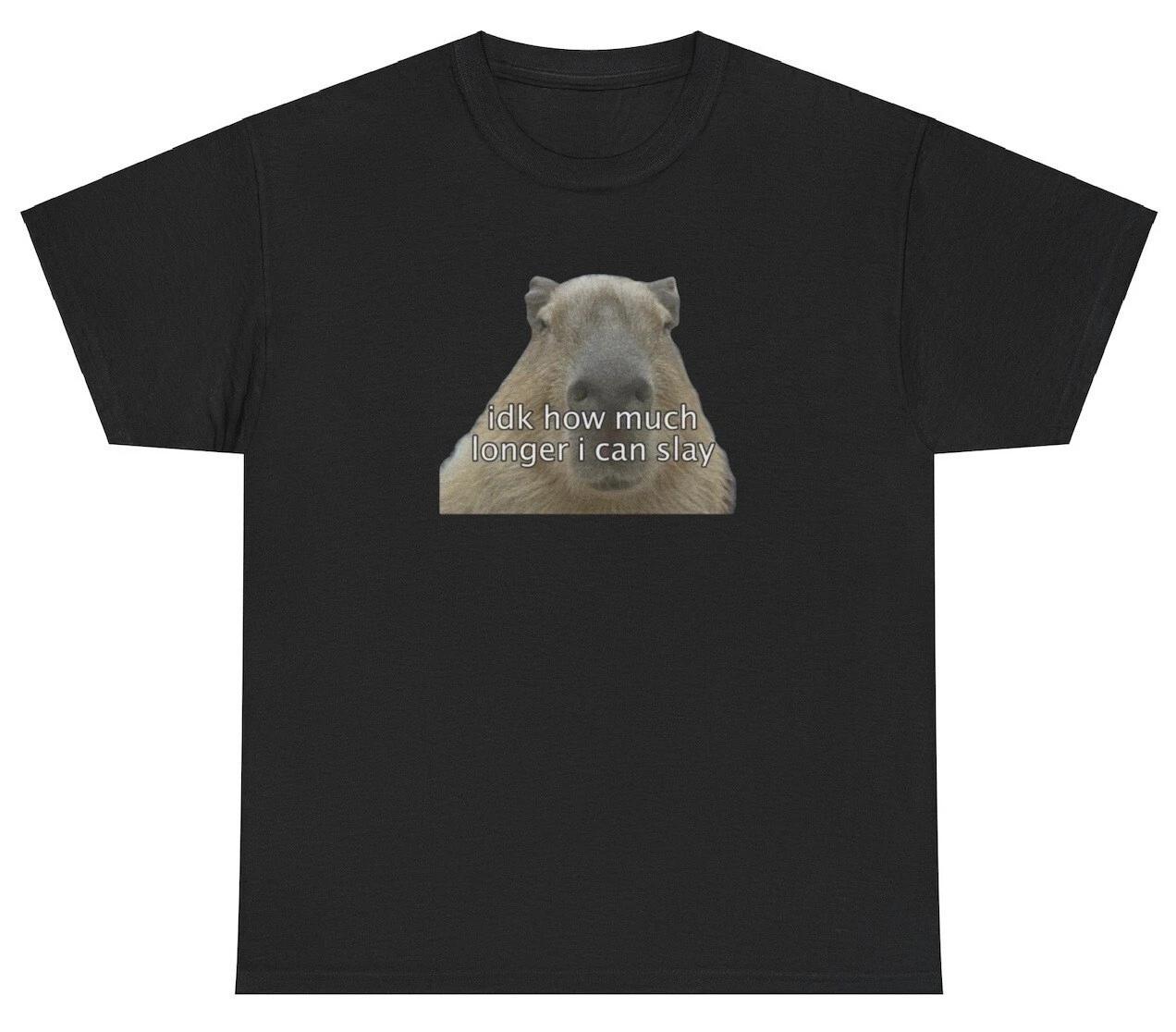 

Capybara Idk How Much Longer I Can Slay T Shirt Funny Silly Gen Z Lover Tee 3XL