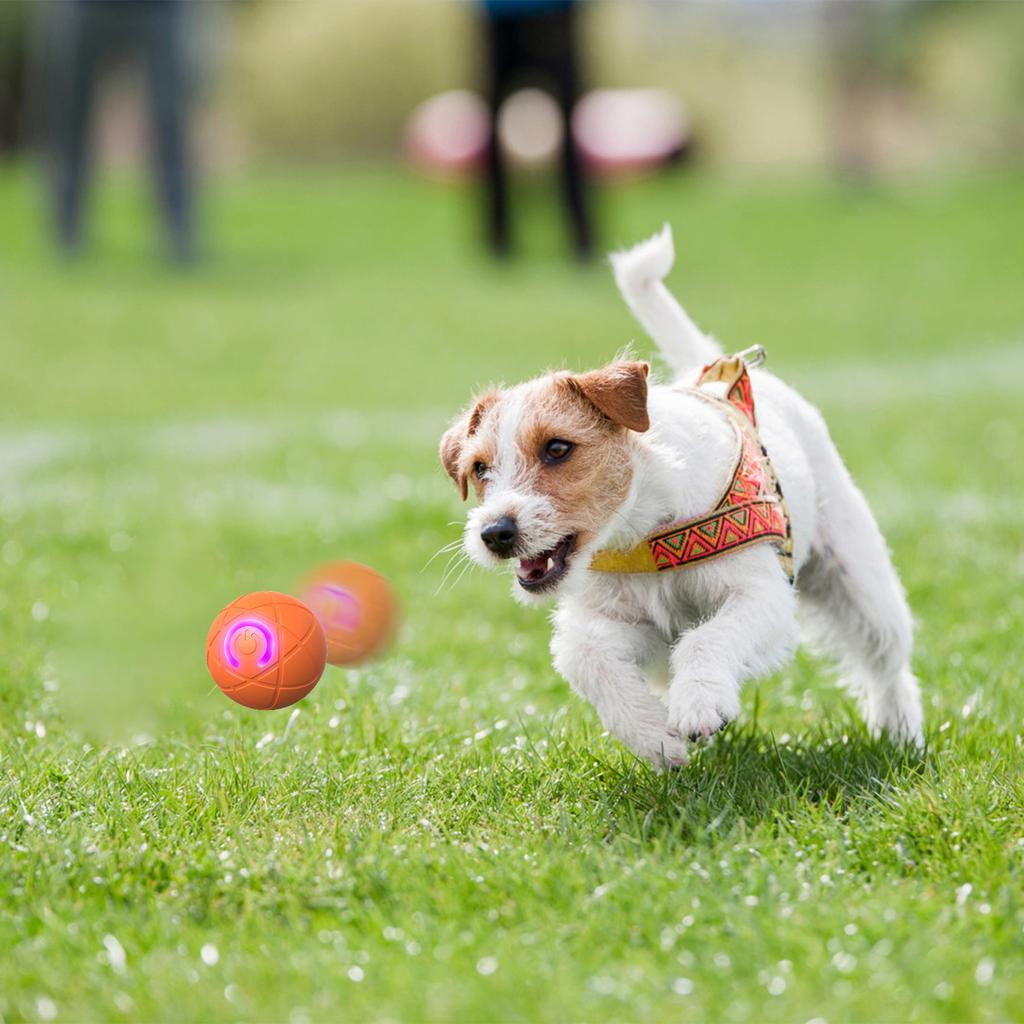 Gravity Jumping Ball Smart Interactive Ball Charging Interactive Exercise Rolling Ball Toy Indoor Outdoor Training Balls for Dog