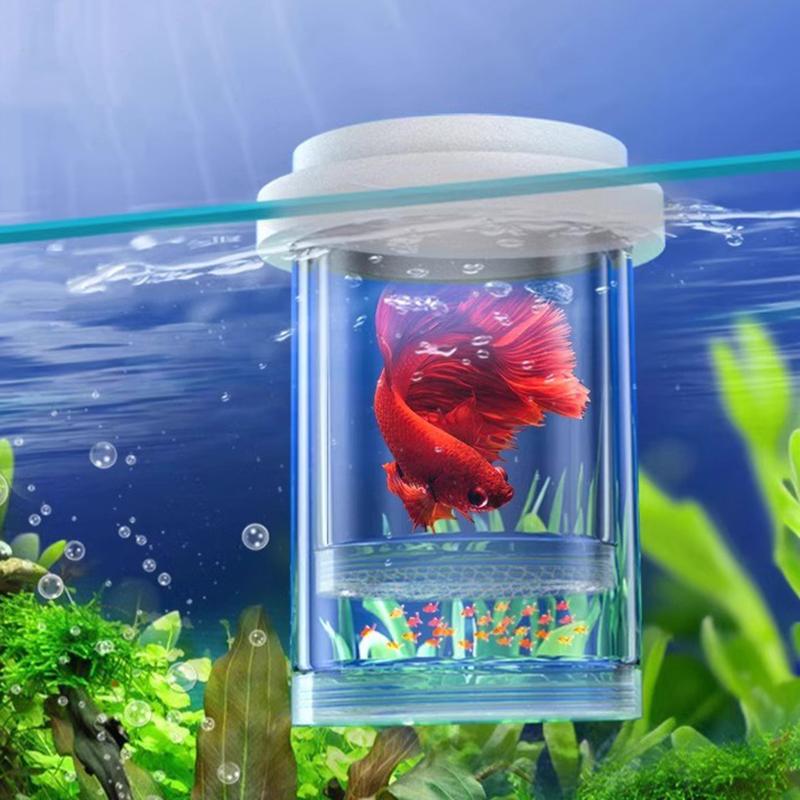 Scatola di Isolamento per l'Allevamento di Pesci Galleggianti Acquario Incubatrice per la Schiusa Incubatrice per la Schiusa Mangiatoia Incubatoio per Acquario