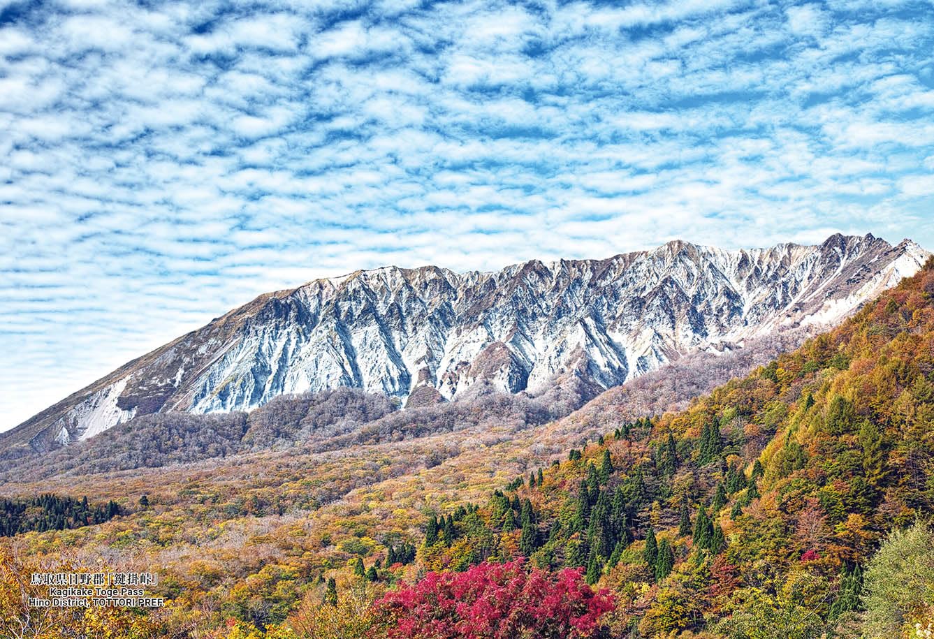 Милашки в пазле Японские города Хино Тоттори с клейкой основой и губкой [Сделано в Японии] Пазл из 300 деталей, 113, «Перевал Кагикаке, Район, Префектура»
