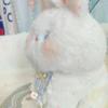 25cm Cute Stuffed White Arctic Rabbit Plush Toy Soft Toys Bunny Kid Pillow Doll Birthday for Children Baby Accompany Sleep Toy
