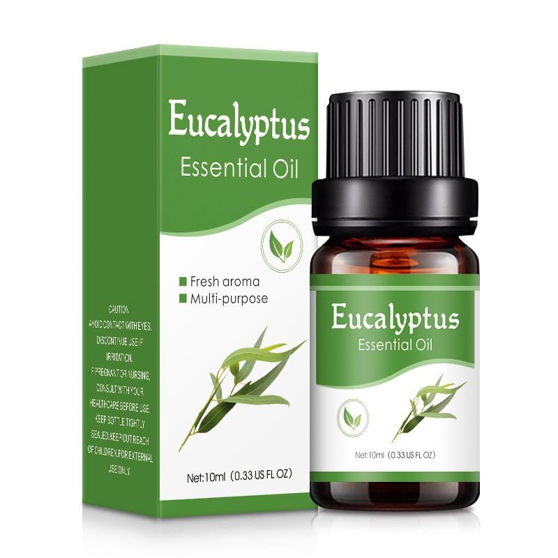 Aromaterapie vodou rozpustný olej Aromaterapie vhodná do zvlhčovače 10ml