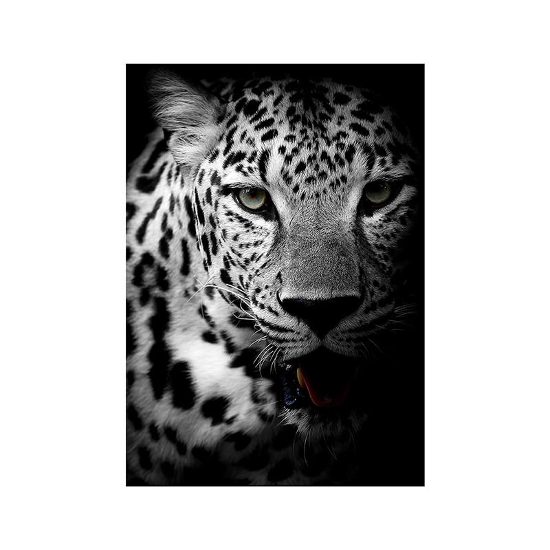 Black White Animal Wall Art Prints Unframed Modern Wild Lion Tiger Gorilla Posters for Living Room Bedroom Decor