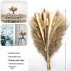 Nordic Style Dried Flower Bouquet: Mixed Arrangement with Small Reeds, Bunny Tail Grass, and Duster for Home Decoration.