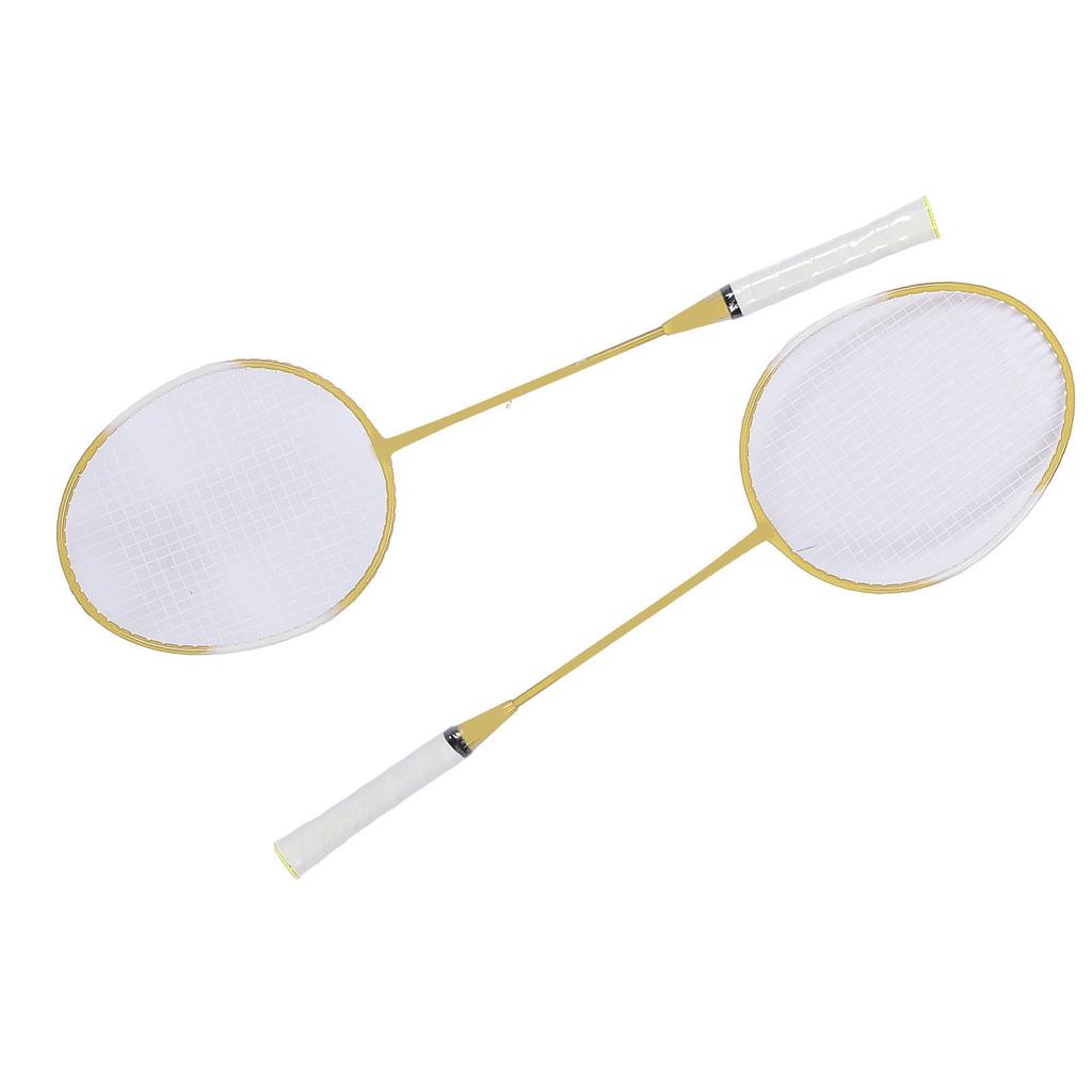 2 Player Badminton Set Low Vibration Strong Elasticity Iron Alloy Badminton Rackets Set with 3 Nylon Shuttlecocks Carry