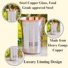 Steel Copper Glass Tumbler Set, Drinkware, Home Restaurant, 250 ML Each, 2 Pieces