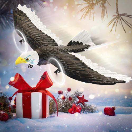 RC Glider, RC Airplane for Kids and Beginners, 2 Batteries Included, EPP Material, Lightweight, Durable, Impact Resistant, 6-Axis Control, 2.4Ghz, 2-C