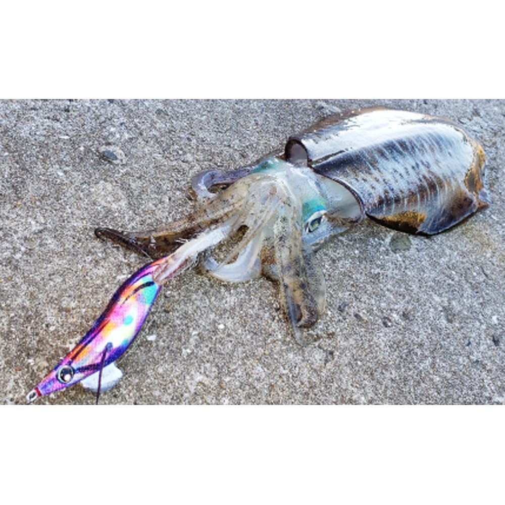 YO-ZURI Egi Aori Q3.0 No. 35: Cloudy Lime Squid fishing,