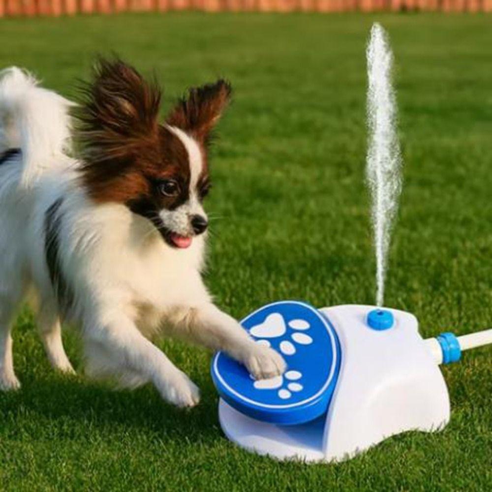 Plastic Step On Water Feeder 2 Water Dispensing Modes Paw Activated Dispenser Dog Drinking