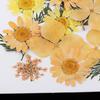 25 Dried Flowers Leaves for Nails Handmade Resin Jewelry Making Materials