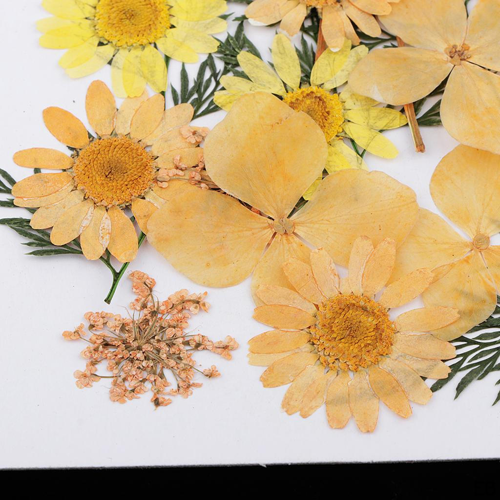 25 Dried Flowers Leaves for Nails Handmade Resin Jewelry Making Materials