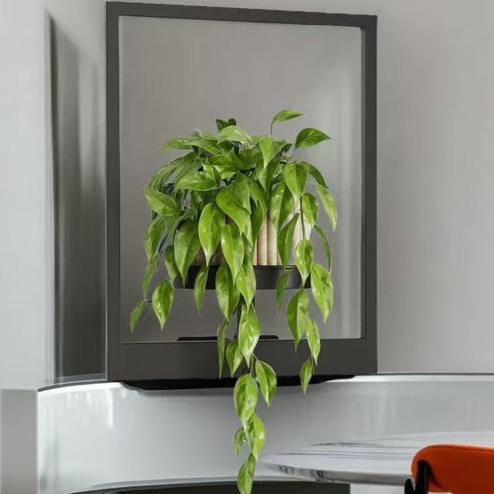 Metal Frame Plant Holder Wall Mounted Iron Frame Plant Holder Potted Plants Frame