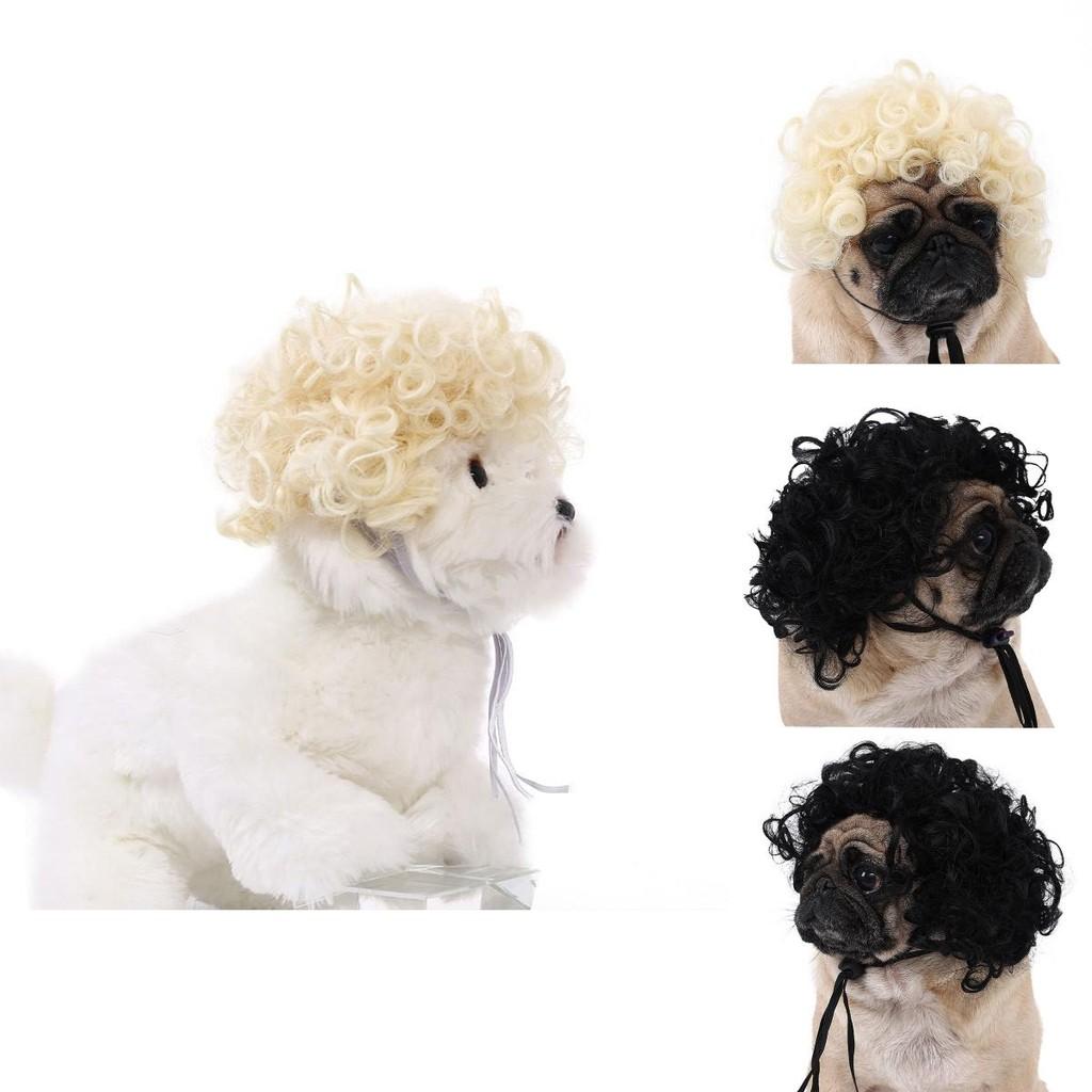 Adorable Black Color Pet Wig For Dogs And Cats With Funky Afro Style For Halloween Festivities
