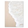 Dandelion Reed Flower Plants Leaves Canvas Wall Art Painting Abstract Nordic Posters And Prints Wall Pictures For Living Room