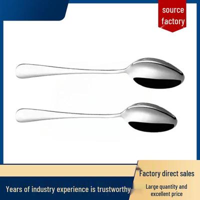 Stainless Steel Small Pointed Spoons (20-Pack)