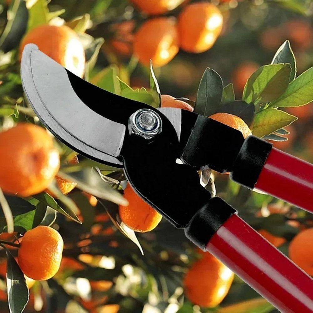 Long Handle Pruning Shear Labor-saving High Branch Shear Plant Cutter Portable Pruner  Farm