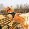 Classic Adjustable Reflective Pet Puppy Large Dog Harness for Small Medium Large Dogs Animals Pet Walking Hand Strap Dog Supplies