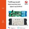 Tuya Zigbee Protocol Smart Life Motor Controller: 1, 2, or 4-Channel Wireless Switch (220V)