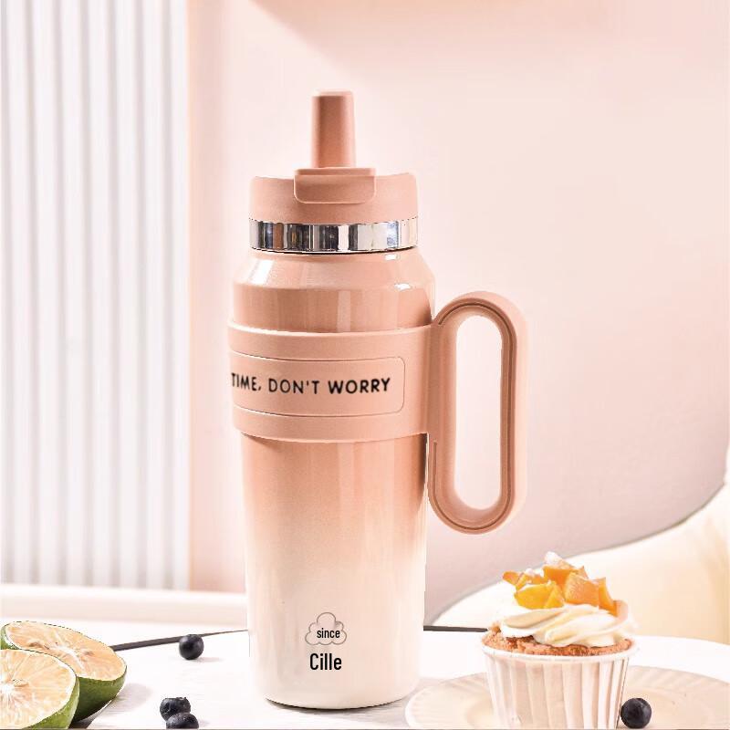 Cille 750ml Insulated Stainless Steel Straw Water Bottle