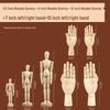 12-Inch Flexible Wooden Jointed Figure Model for Sketching and Painting
