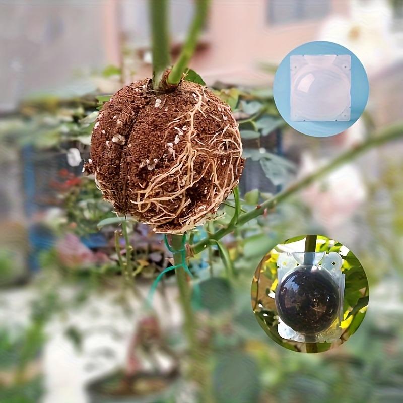 10 Piezas Bola de Enraizamiento de Plantas Caja de Propagación Kit de Injerto de Alta Presión, Esquejes y Enraizamiento Maceta de Guardería para Hogar Granja