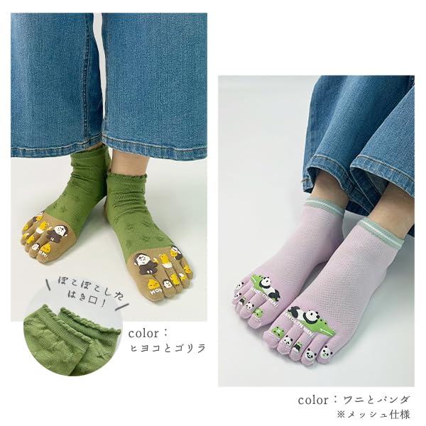 Stream Market Women's Five-Toe Socks, Cute Sneaker Socks, Animal and Character Designs, Bulk Purchase, 5F-SNAS-B