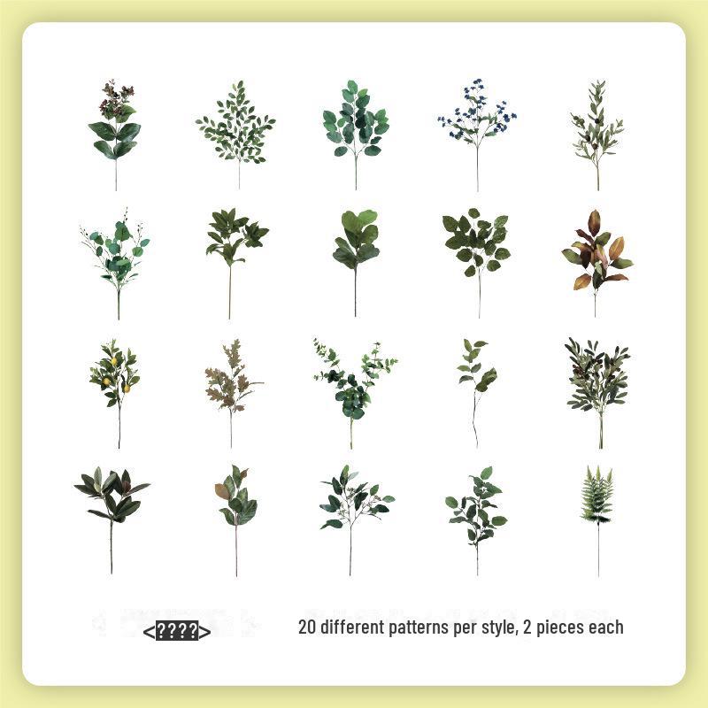 

Набор наклеек «Ретро Природа Юэчжэнь»: Цветы и бабочки для детских справочников