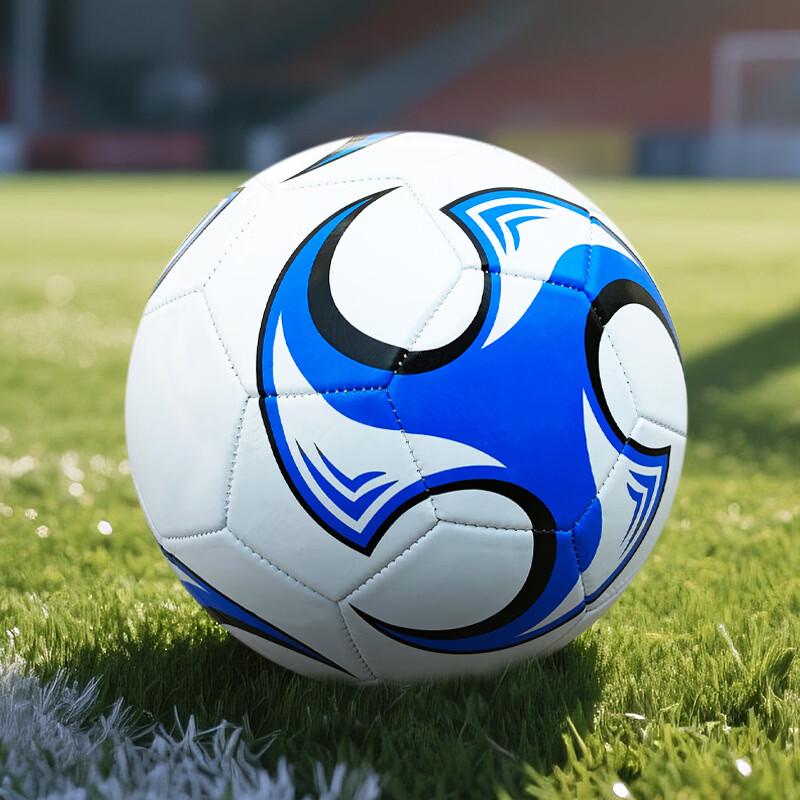 LISM Machine-Stitched Size 5 Football