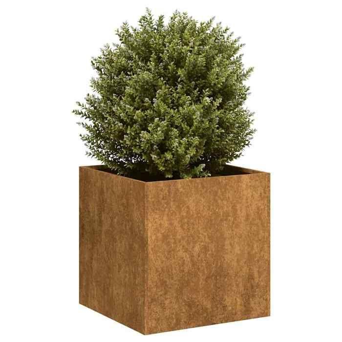 VidaXL Jardinière rouillé 40x40x40 cm acier inoxydable, pot de fleurs, support de plantes, lit surélevé, support de 860667