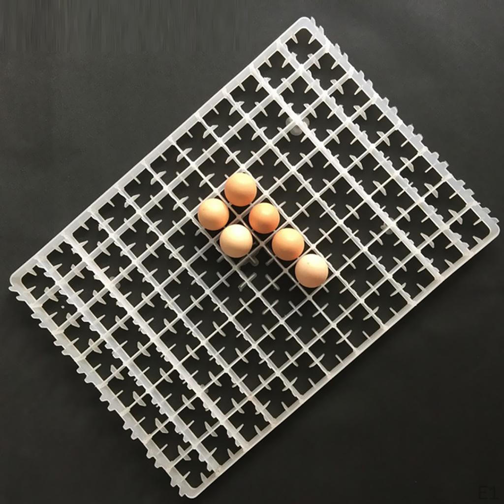 Eggs Incubator Automatic Duck Quail Bird Poultry Tray