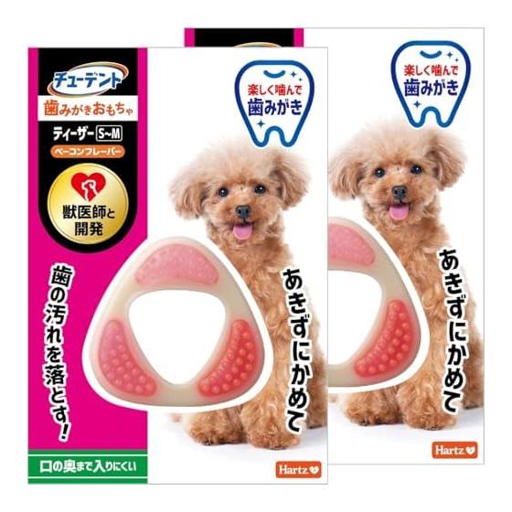 Hartz Dental Toy Teaser Dog Toy Toothbrushing Toy S-M x 2 Bacon Flavor