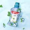 Colgate Ice Fresh Mint Mouthwash