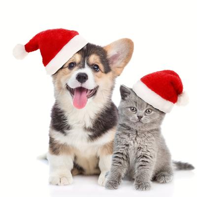 1/2/4-teiliger Hunde-Weihnachtshut Weihnachts-Haustierhut Hund Katze Weihnachtsbedarf Haustierkleidung