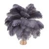 Ostrich Feather Table Lamp Rechargeable Modern Romantic Decoration Lamp Bedroom Bedside Lamp for