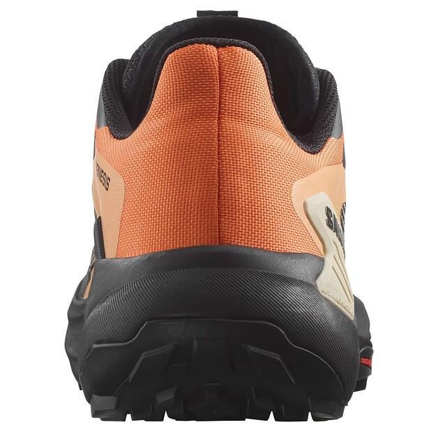 Salomon Genesis кроссовки трейловые