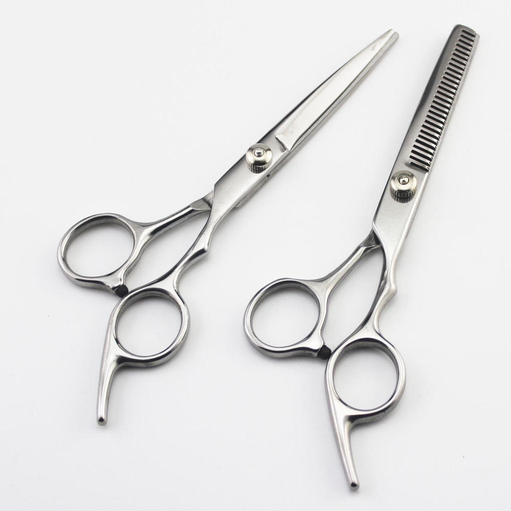 6.0-inch Hairdressing Scissors Set: Straight & Thinning Shears, Pouch, Comb, Maintenance Oil