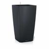 Plant Pot