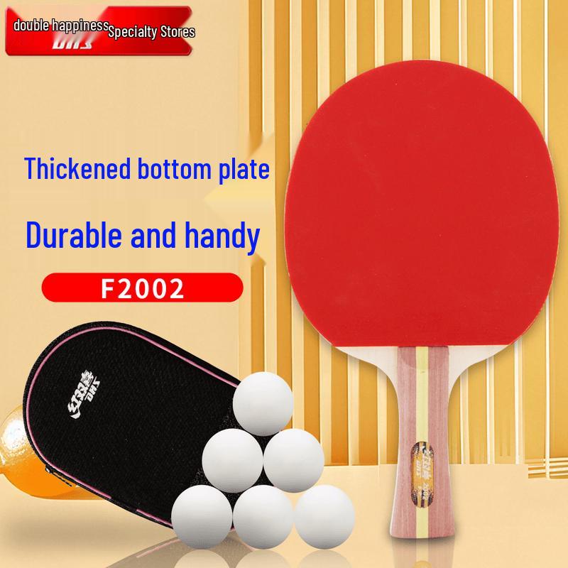 DHS F2002 2-Star Table Tennis Racket