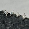 warmrecord Silver925 Like a Star White&Topaz Earring_E291