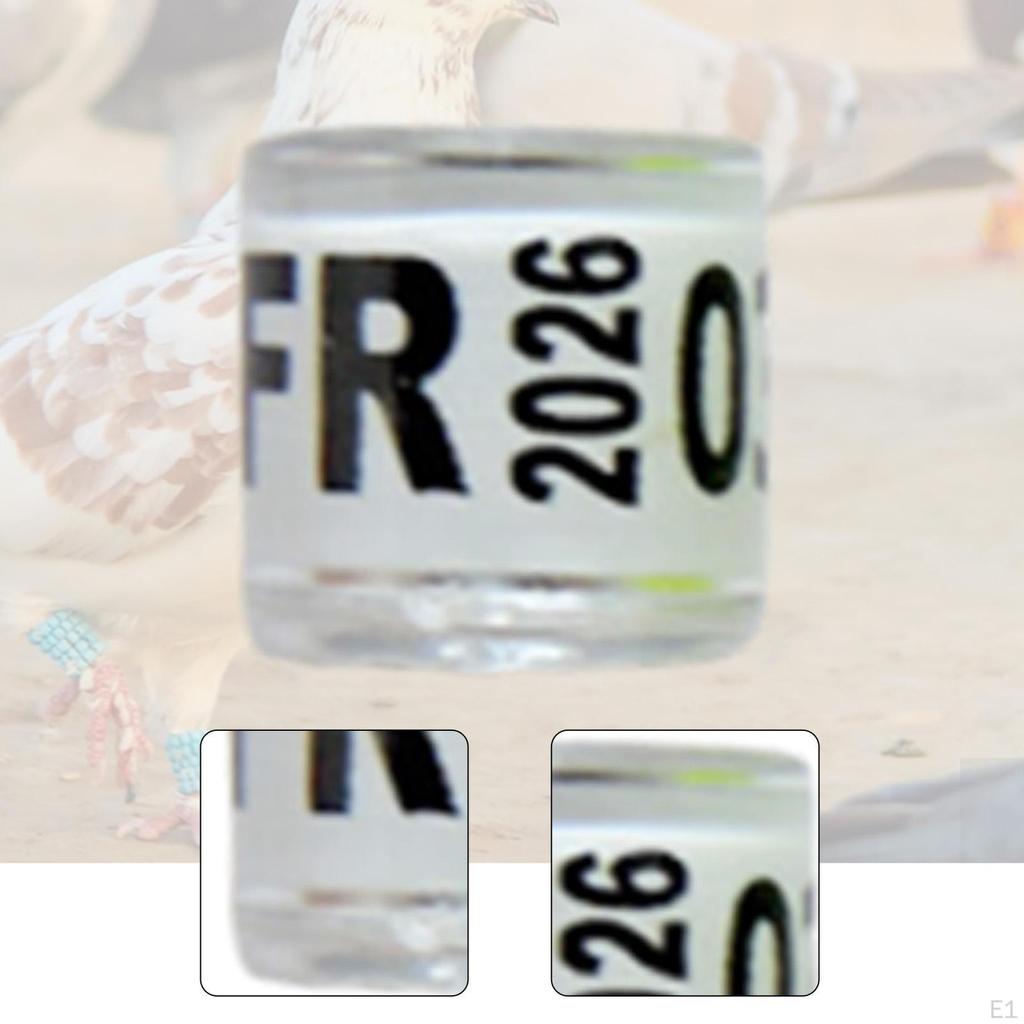 100 Stück Aluminium Taubenbeinringe Identifikationsbänder Taube für Unzertrennliche